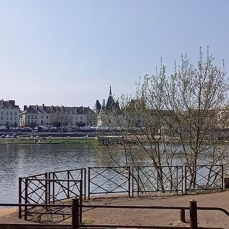 Les Marronniers Appartement Centre Saumur Bord De Loire Bagian luar foto