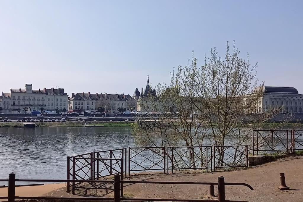 Les Marronniers Appartement Centre Saumur Bord De Loire Bagian luar foto