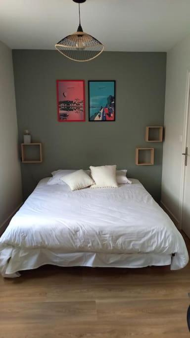 Les Marronniers Appartement Centre Saumur Bord De Loire Bagian luar foto